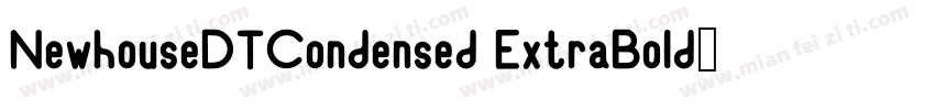 NewhouseDTCondensed ExtraBold字体转换